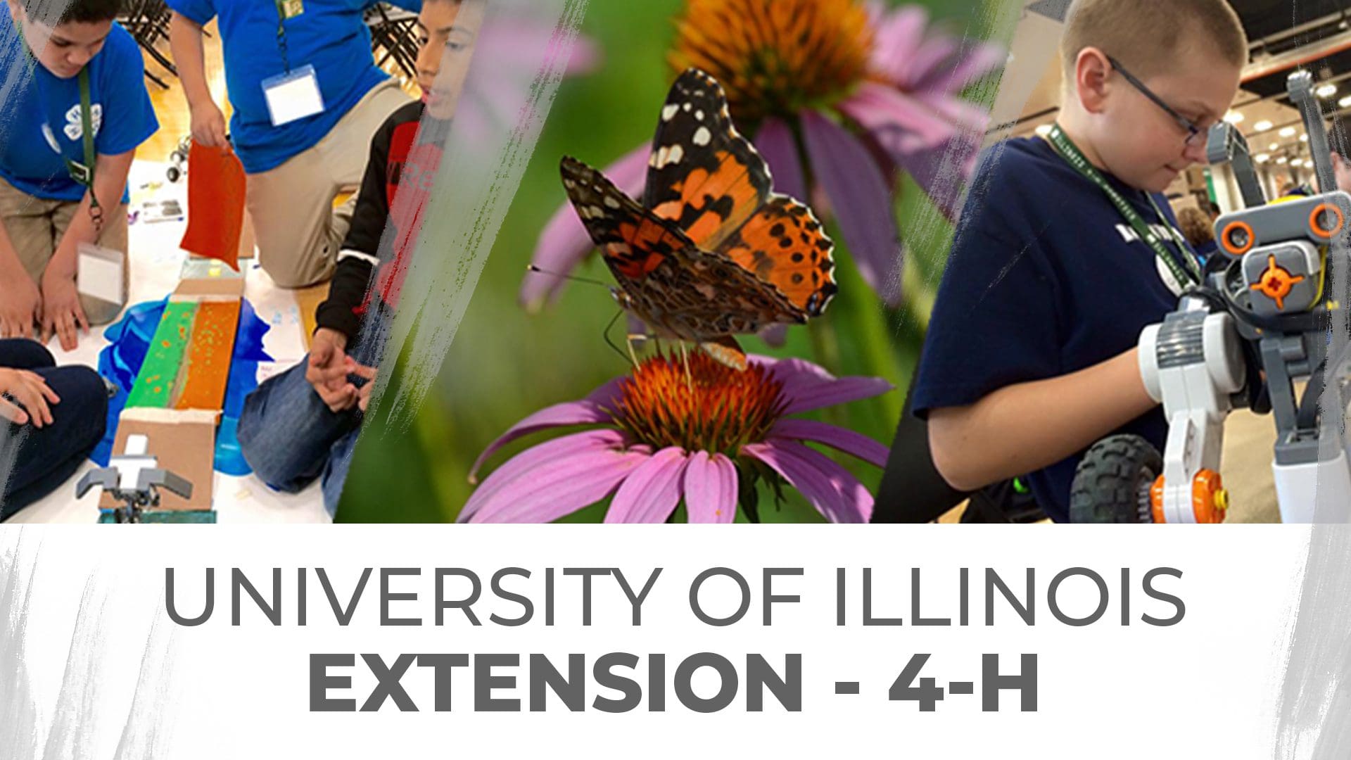 University of Illinois Extension 4H ArtsPartners of Central Illinois